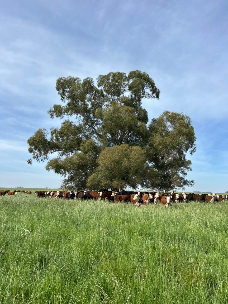 Manejo de la biodiversidad